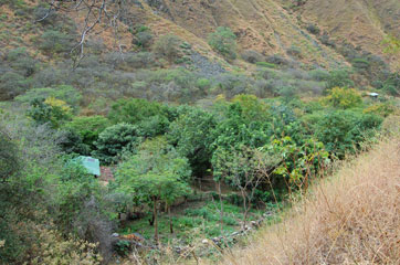 the farm from above